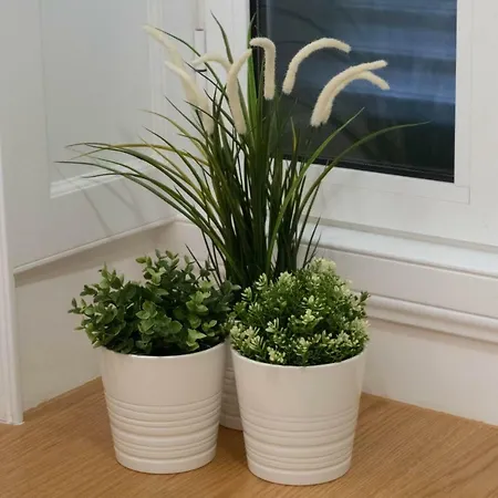 Finest - Downtown فونشال